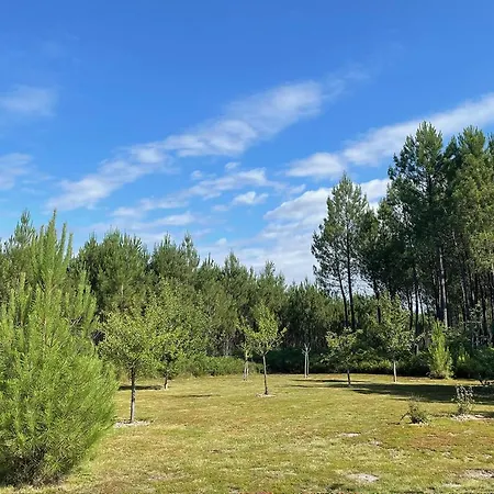 La Grange Du Coulin Affittacamere 3*