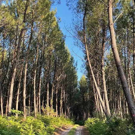 La Grange Du Coulin Onesse-et-Laharie