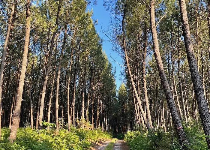 La Grange Du Coulin Onesse-et-Laharie